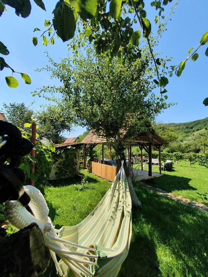 Valchid Guest House Zewnętrze zdjęcie