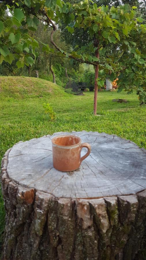 Valchid Guest House Zewnętrze zdjęcie